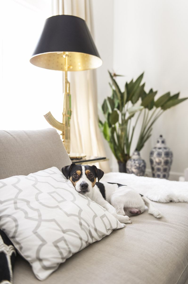 Mini 20170620 LS 0030